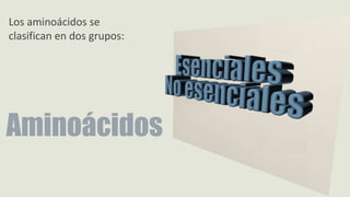 Los aminoácidos se
clasifican en dos grupos:
Aminoácidos
 