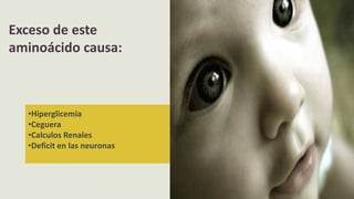 •Hiperglicemia
•Ceguera
•Calculos Renales
•Deficit en las neuronas
Exceso de este
aminoácido causa:
 