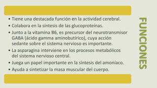 • Tiene una destacada función en la actividad cerebral.
• Colabora en la síntesis de las glucoproteínas.
• Junto a la vitamina B6, es precursor del neurotransmisor
GABA (ácido gamma aminobutírico), cuya acción
sedante sobre el sistema nervioso es importante.
• La asparagina interviene en los procesos metabólicos
del sistema nervioso central.
• Juega un papel importante en la síntesis del amoníaco.
• Ayuda a sintetizar la masa muscular del cuerpo.
FUNCIONES
 