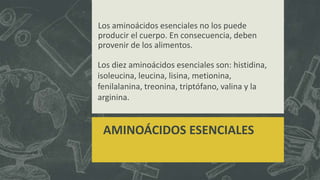 Los aminoácidos esenciales no los puede
producir el cuerpo. En consecuencia, deben
provenir de los alimentos.
AMINOÁCIDOS ESENCIALES
Los diez aminoácidos esenciales son: histidina,
isoleucina, leucina, lisina, metionina,
fenilalanina, treonina, triptófano, valina y la
arginina.
 