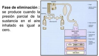 Fase de eliminación :
se produce cuando la
presión parcial de la
sustancia en el aire
inhalado es igual a
cero.
 