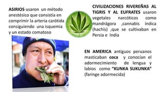 ASIRIOS usaron un método
anestésico que consistía en
comprimir la arteria carótida
consiguiendo una isquemia
y un estado comatoso
CIVILIZACIONES RIVEREÑAS AL
TIGRIS Y AL EUFRATES usaron
vegetales narcóticos como
mandrágora ,cannabis índica
(hachís) ,que se cultivaban en
Persia e India
EN AMERICA antiguos peruanos
masticaban coca y conocían el
adormecimiento de lengua y
labios como “KUNKA SUKUNKA”
(faringe adormecida)
 