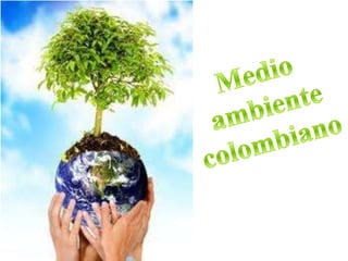 Medio  ambiente colombiano 