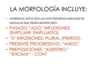 LA MORFOLOGÍA INCLUYE:
• MORFEMAS: ESTAS SON LAS MÁS PEQUEÑAS UNIDADES EN
  LENGUAJE QUE TIENEN SIGNIFICADO

• PASADO “ADO” INFLEXIONES
  (EMPUJAR- EMPUJADO)
• “S” INFLEXIONES: PLURAL (PERROS).
• PRESENTE PROGRESSIVO: “ANDO”
• PREPOSICIONES “ADENTRO,”
  “ENCIMA” - CONT
 