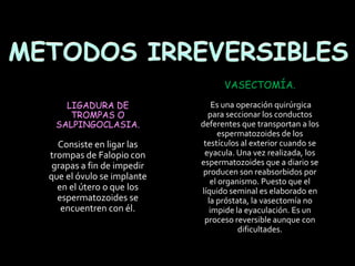 LIGADURA DE
TROMPAS O
SALPINGOCLASIA.
Consiste en ligar las
trompas de Falopio con
grapas a fin de impedir
que el óvulo se implante
en el útero o que los
espermatozoides se
encuentren con él.
VASECTOMÍA.
Es una operación quirúrgica
para seccionar los conductos
deferentes que transportan a los
espermatozoides de los
testículos al exterior cuando se
eyacula. Una vez realizada, los
espermatozoides que a diario se
producen son reabsorbidos por
el organismo. Puesto que el
líquido seminal es elaborado en
la próstata, la vasectomía no
impide la eyaculación. Es un
proceso reversible aunque con
dificultades.
 