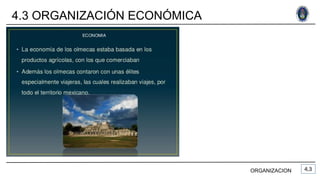 4.3 ORGANIZACIÓN ECONÓMICA
ORGANIZACION
 