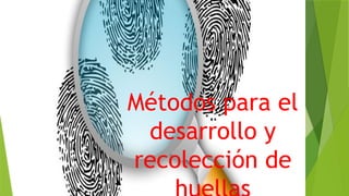 Métodos para el
desarrollo y
recolección de
 