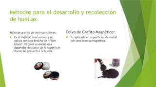 Métodos para el desarrollo y recolección
de huellas
Polvo de grafito de distintos colores:
 Es el método mas común y se
aplica con una brocha de “Fiber
Glass”. El color a usarse va a
depender del color de la superficie
donde se encuentre la huella.
Polvo de Grafito Magnético:
 Es aplicado en superficies de metal
con una brocha magnética.
 