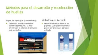 Métodos para el desarrollo y recolección
de huellas
Vapor de Superglue (cianocrilato):
 Desarrolla huellas latentes en
superficies obscuras. Es muy
efectivo en el interior de armarios
o de vehículos.
Ninhidrina en Aerosol:
 Desarrolla huellas latentes en
papeles. Cualquier documento
puede ser procesado por este
método.
 