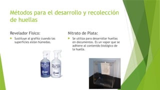 Métodos para el desarrollo y recolección
de huellas
Revelador Físico:
 Sustituye al grafito cuando las
superficies están húmedas.
Nitrato de Plata:
 Se utiliza para desarrollar huellas
en documentos. Es un vapor que se
adhiere al contenido biológico de
la huella.
 