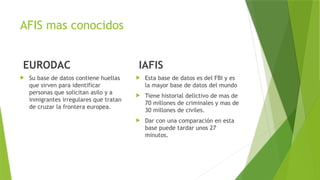 AFIS mas conocidos
EURODAC
 Su base de datos contiene huellas
que sirven para identificar
personas que solicitan asilo y a
inmigrantes irregulares que tratan
de cruzar la frontera europea.
IAFIS
 Esta base de datos es del FBI y es
la mayor base de datos del mundo
 Tiene historial delictivo de mas de
70 millones de criminales y mas de
30 millones de civiles.
 Dar con una comparación en esta
base puede tardar unos 27
minutos.
 