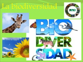 Diapositivas biodiversidad
