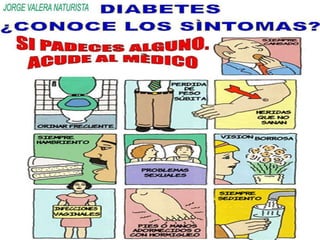 CONSERVACIÓN DEL CONDOR