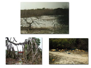 ArrecifesCoralinos El 70 % de la vida oceánica depende de los arrecifes de coral, debido a que estos ofrecen refugio, alimentación y lugar de reproducción a gran cantidad de especiesEl principal ecosistema de Arrecifes de coral de la costa Caribe se ubica en El Parque Nacional Natural Corales del Rosario. Este ecosistema alberga alrededor de 50 tipos de formaciones coralinas,197 especies de moluscos, 170 de crustáceos, 132 celenterados, 35 equinodermos, 215 especies de peces y 31 de aves marinas.Actualmente este importante ecosistema se encuentra amenazado desde el punto de vista ecológico, los principales causantes de daños son:Actividad de construcciones y poblacional en las islas, que arrojan desperdicios al agua.