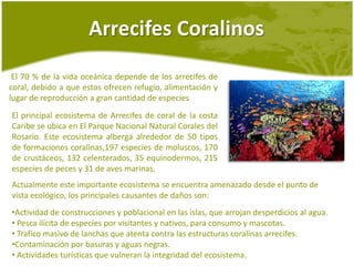  El trafico ilegal nacional e internacional de iguanas jóvenes extraídas de su medioambiente para ser comercializadas como mascotas.