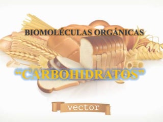 BIOMOLÉCULAS ORGÁNICAS
“CARBOHIDRATOS”
 