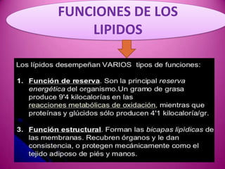 FUNCIONES DE LOS
LIPIDOS

 