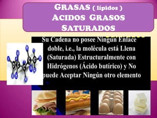 GRASAS ( lípidos )
ACIDOS GRASOS
SATURADOS

 