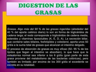 DIGESTION DE LAS
GRASAS

 