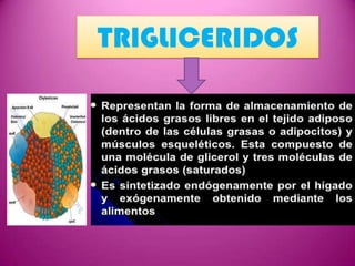 TRIGLICERIDOS

 