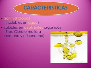 CARACTERISTICAS
• Son hidrófobas
(insolubles en agua)
• solubles en disolventes orgánicos
(Éter, Cloroformo la a
acetona y el benceno)

 