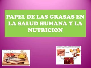 PAPEL DE LAS GRASAS EN
LA SALUD HUMANA Y LA
NUTRICION

 