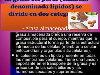 La grasa corporal (también
denominada lípidos) se
divide en dos categorías:

- grasa almacenada
-grasa estructural

 