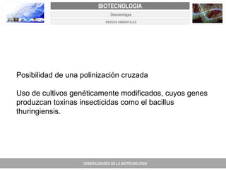 PROYECTO DE REVISIÓN Y AJUSTE AL PLAN DE ORDENAMIENTO TERRITORIAL DE FACATATIVA Posibilidad de una polinización cruzada  Uso de cultivos genéticamente modificados, cuyos genes produzcan toxinas insecticidas como el bacillus thuringiensis.  GENERALIDADES DE LA BIOTECNOLOGIA PROYECTO DE REVISIÓN Y AJUSTE DE LOS PLANES DE ORDENAMIENTO TERRITORIAL DE 25 MUNICIPIOS DE ANTIOQUIA FACATATIVA EXPEDIENTE MUNICIPAL Junio  de 2011  COMPONENTE NORMATIVO PROYECTO DE REVISIÓN Y AJUSTE DE LOS PLANES DE ORDENAMIENTO TERRITORIAL DE 25 MUNICIPIOS DE ANTIOQUIA BIOTECNOLOGIA Desventajas RIESGOS AMBIENTALES 