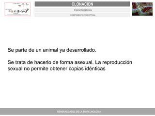 PROYECTO DE REVISIÓN Y AJUSTE AL PLAN DE ORDENAMIENTO TERRITORIAL DE FACATATIVA Se parte de un animal ya desarrollado. Se trata de hacerlo de forma asexual. La reproducción sexual no permite obtener copias idénticas GENERALIDADES DE LA BIOTECNOLOGIA PROYECTO DE REVISIÓN Y AJUSTE DE LOS PLANES DE ORDENAMIENTO TERRITORIAL DE 25 MUNICIPIOS DE ANTIOQUIA FACATATIVA EXPEDIENTE MUNICIPAL Junio  de 2011  COMPONENTE NORMATIVO PROYECTO DE REVISIÓN Y AJUSTE DE LOS PLANES DE ORDENAMIENTO TERRITORIAL DE 25 MUNICIPIOS DE ANTIOQUIA CLONACION Caracteristicas COMPONENTE CONCEPTUAL 