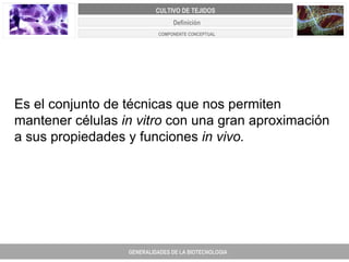Es el conjunto de técnicas que nos permiten mantener células  in vitro  con una gran aproximación a sus propiedades y funciones  in vivo.   Definición GENERALIDADES DE LA BIOTECNOLOGIA PROYECTO DE REVISIÓN Y AJUSTE DE LOS PLANES DE ORDENAMIENTO TERRITORIAL DE 25 MUNICIPIOS DE ANTIOQUIA CULTIVO DE TEJIDOS COMPONENTE CONCEPTUAL 