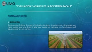 “EVALUACIÓN Y ANÁLISIS DE LA BOCATOMA FACALÁ”
SISTEMA DE RIEGO
 DEFINICIÓN
Se denomina Sistema de riego o Perímetro de riego, al conjunto de estructuras, que
hace posible que una determinada área pueda ser cultivada con la aplicación del
agua necesaria a las plantas.
 