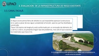 3. EVALUACION DE LA INFRAESTRUCTURA DE RIEGO EXISTENTE
El dique se encuentra lleno de árboles lo cual imposibilita apreciar la estructura
en sí, pero a pesar de eso sigue cumpliendo la función para la cual fue diseñada y
construida.
Tiene 110 metros de longitud y está conformado por un enrocado de diámetro de
1.10 m a 1.50 m, no presenta ningún tipo de problemas, mas solo el que ocasiona
los materiales que trae el río.
3.3. CANAL FACALÁ:
En la fotografía se puede apreciar que el dique está completamente
oculto entre los árboles
 
