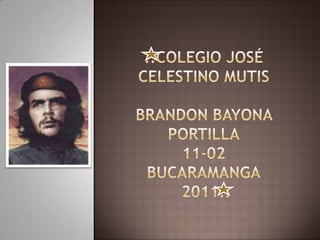 ..Colegio José celestino mutisBrandon Bayona portilla11-02Bucaramanga 2011.. 