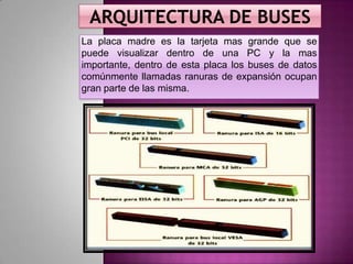 La placa madre es la tarjeta mas grande que se
puede visualizar dentro de una PC y la mas
importante, dentro de esta placa los buses de datos
comúnmente llamadas ranuras de expansión ocupan
gran parte de las misma.

 