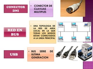 CONECTOR
DNI

• CONECTOR DE
CLAVIJAS
MULTIPLES

•

RED EN
BUS

USB

UNA TOPOLOGIA DE
LA RED DE AREA
LOCAL EN LA QUE
TODAS LOS NODOS
ESTAN CONECTADOS
A LA LINEA PRINCIPAL

• BUS SERIE DE
ULTIMA
GENERACION

 