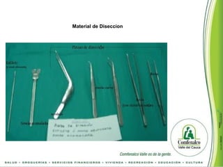 Suture Instruments Types Comprehensive Guide to Surgical Instruments and Sutures: Types, Uses ...