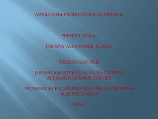 APARATO REPRODUCTOR EN CAPRINOS  PRESENTADO A: JHONNY ALEXANDER  NUÑEZ PRESENTADO POR: JHONATAN ESTEBAN ALDANA CADENA ALEJANDRO RAMOS  SADDER TECNOLOGIA EN ADMINISTRACION DE EMPRESAS AGROPECUARIAS SENA 