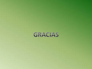 Diapositivas changó mazo (1)