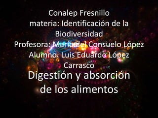 Conalep Fresnillomateria: Identificación de la BiodiversidadProfesora: María del Consuelo LópezAlumno: Luis Eduardo López Carrascogrupo:2101 Digestión y absorción de los alimentos 