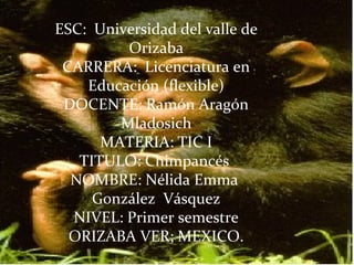 ESC: Universidad del valle de
         Orizaba
 CARRERA: Licenciatura en
    Educación (flexible)
 DOCENTE: Ramón Aragón
        Mladosich
      MATERIA: TIC I
   TITULO: Chimpancés
  NOMBRE: Nélida Emma
     González Vásquez
  NIVEL: Primer semestre
  ORIZABA VER; MEXICO.
 