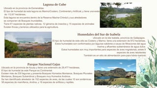 Laguna de Cube
Ubicado en la provincia de Esmeraldas.
El tipo de humedal de esta laguna es Marino/Costero, Continental y Artificial, y tiene una extensión
de 112,67 hectáreas.
Esta laguna se encuentra dentro de la Reserva Mache-Chindul y sus alrededores
se componen de Bosques Inundables.
Tiene 61 especies de plantas nativas, 12 géneros de insectos y 15 especies de animales
Existen fincas y terrenos utilizados para la agricultura.
Humedales del Sur de Isabela
Ubicado en la isla Isabela, provincia de Galápagos.
El tipo de humedal de este sitio es Costero y Marino; tiene una extensión de 872 hectáreas.
Estos humedales son conformados por lagunas salobres a causa de filtraciones del agua
marina y afluentes subterráneos de agua dulce.
Estos humedales son muy importantes para especies de aves migratorias, existe 8
especies de aves residentes
También es un sitio de alimentación para para lobos marinos
Parque Nacional Cajas
Ubicado en la provincia de Azuay y tiene una extensión de 29,477 hectáreas.
El tipo de humedal de este Parque es Continental.
Existen más de 230 lagunas y presenta Bosques Húmedos Montanos, Bosques Pluviales
Montanos, Bosques Subandinos y Bosques muy Humedos Andinos.
Se han identificado alrededor de 152 especies de aves, de las cuales 10 son endémicas,
38 especies de mamíferos, Andina, y 18 especies de anfibios y reptiles.
 