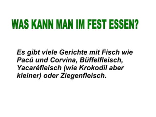 Es gibt viele Gerichte mit Fisch wie Pacú und Corvina, Büffelfleisch, Yacaréfleisch (wie Krokodil aber kleiner) oder Ziegenfleisch . WAS KANN MAN IM FEST ESSEN? 