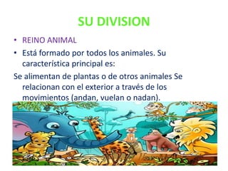 SU DIVISION
• REINO ANIMAL
• Está formado por todos los animales. Su
  característica principal es:
Se alimentan de plantas o de otros animales Se
  relacionan con el exterior a través de los
  movimientos (andan, vuelan o nadan).
 