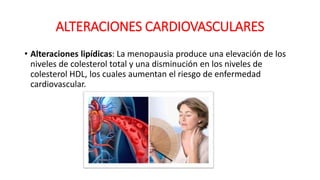 ALTERACIONES CARDIOVASCULARES
• Alteraciones lipídicas: La menopausia produce una elevación de los
niveles de colesterol total y una disminución en los niveles de
colesterol HDL, los cuales aumentan el riesgo de enfermedad
cardiovascular.
 