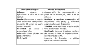 Análisis macroscópico Análisis microscópico
Volumen: durante la
eyaculación. A partir de 1.5 ml
normal.
Licuefacción: reposar la muestra
unos 20 minutos a temperatura
ambiente. El semen se vuelve
menos compacto
Viscosidad: se analiza la
presencia de hilos.
Color: color blanco grisáceo o un
poco amarillento.
Ph: 7.2 y el 8
Concentración de espermatozoides: a
partir de 15 millones/ml, total: > de 40
millones
Motilidad o movilidad espermática: el
movimiento total (40%), y movilidad
progresiva (avanzan de posición)
Vitalidad: para comprobar si éstos están
vivos e inmóviles o muertos.
Morfología: forma de la cabeza, cuello y,
por último, la cola del espermatozoide.
Normal: más de un 4%.
Presencia de leucocitos o células
epiteliales: mínima cantidad
 