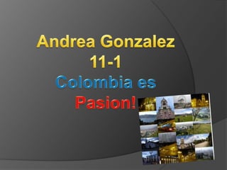 Andrea Gonzalez,[object Object],11-1,[object Object],Colombia es,[object Object],Pasion!,[object Object]