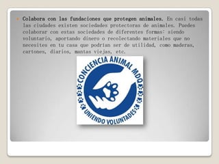  Colabora con las fundaciones que protegen animales. En casi todas
las ciudades existen sociedades protectoras de animales. Puedes
colaborar con estas sociedades de diferentes formas: siendo
voluntario, aportando dinero o recolectando materiales que no
necesites en tu casa que podrían ser de utilidad, como maderas,
cartones, diarios, mantas viejas, etc.
 