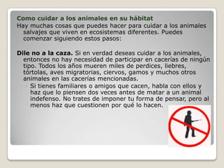 Como cuidar a los animales en su hábitat
Hay muchas cosas que puedes hacer para cuidar a los animales
salvajes que viven en ecosistemas diferentes. Puedes
comenzar siguiendo estos pasos:
Dile no a la caza. Si en verdad deseas cuidar a los animales,
entonces no hay necesidad de participar en cacerías de ningún
tipo. Todos los años mueren miles de perdices, liebres,
tórtolas, aves migratorias, ciervos, gamos y muchos otros
animales en las cacerías mencionadas.
◦ Si tienes familiares o amigos que cacen, habla con ellos y
haz que lo piensen dos veces antes de matar a un animal
indefenso. No trates de imponer tu forma de pensar, pero al
menos haz que cuestionen por qué lo hacen.
 