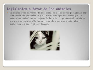 Legislación a favor de los animales
 Se conoce como derechos de los animales a las ideas postuladas por
corrientes de pensamiento y al movimiento que sostienen que la
naturaleza animal es un sujeto de Derecho, cuya novedad reside en
que esta categoría sólo ha pertenecido a personas naturales y
jurídicas, es decir al ser humano.
 