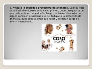  1. Avisa a la sociedad protectora de animales. Cuando veas
un animal abandonado en la calle, primero debes asegurarte de
que realmente no tiene dueño. Luego, es buena idea avisar a
alguna comisión o sociedad que se dedique a la protección de
animales, pues ellos te dirán que hacer y se harán cargo del
animal abandonado.
 
